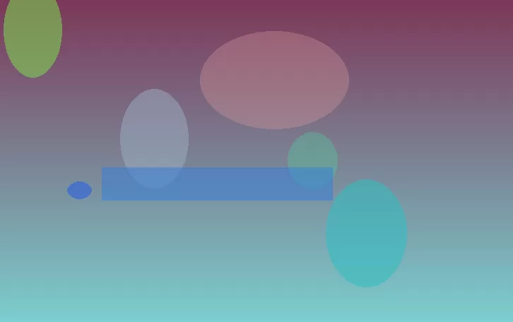 星空体育app部门