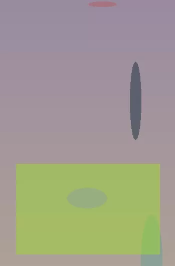 星空体育app公司