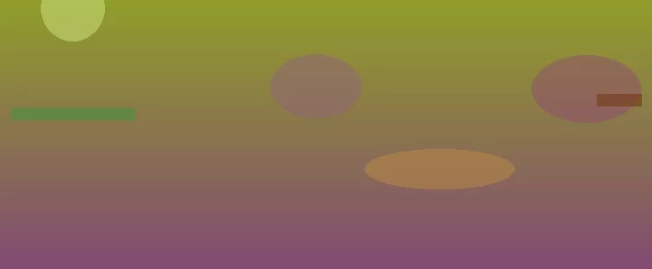 星空体育app团队