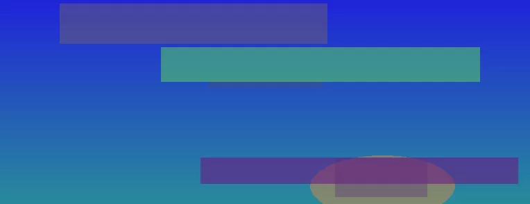 星空体育app团队