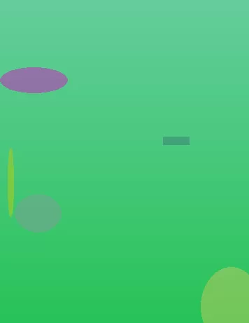 星空体育app