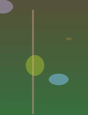 星空体育app