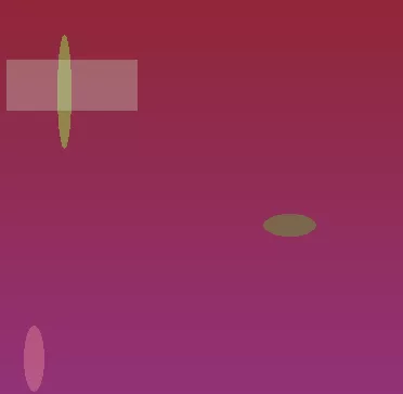 星空体育app