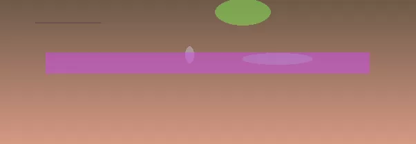 星空体育app团队