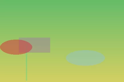 星空体育app