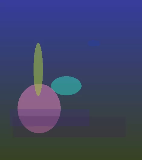 星空体育app公司