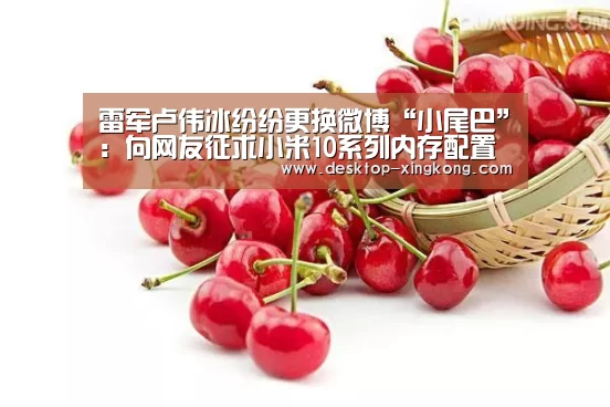 星空体育app公司