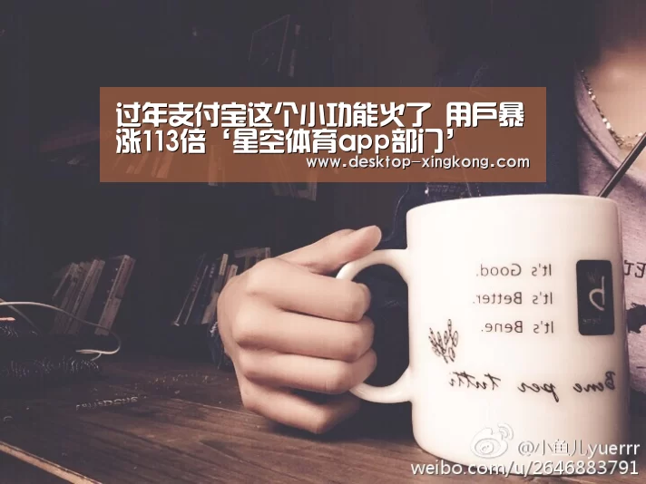 星空体育app团队