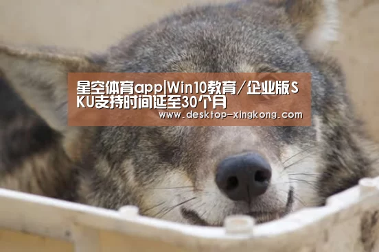 星空体育app部门