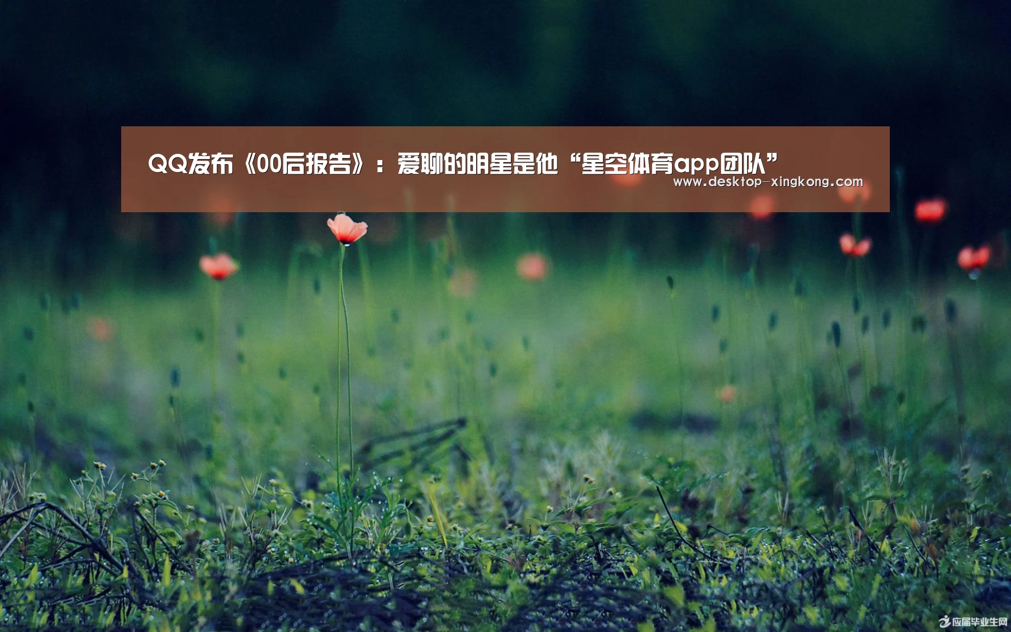 星空体育app公司