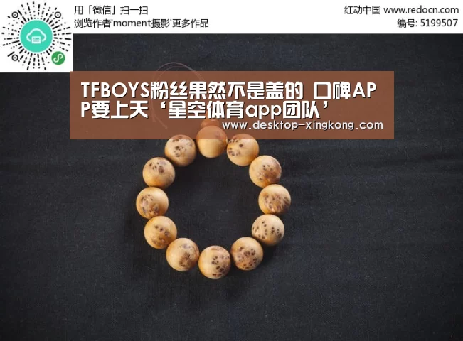 星空体育app部门