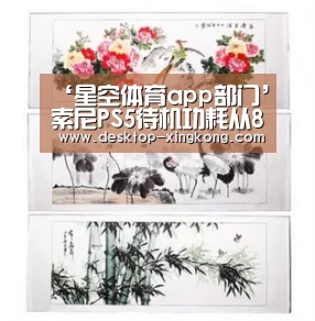 星空体育app