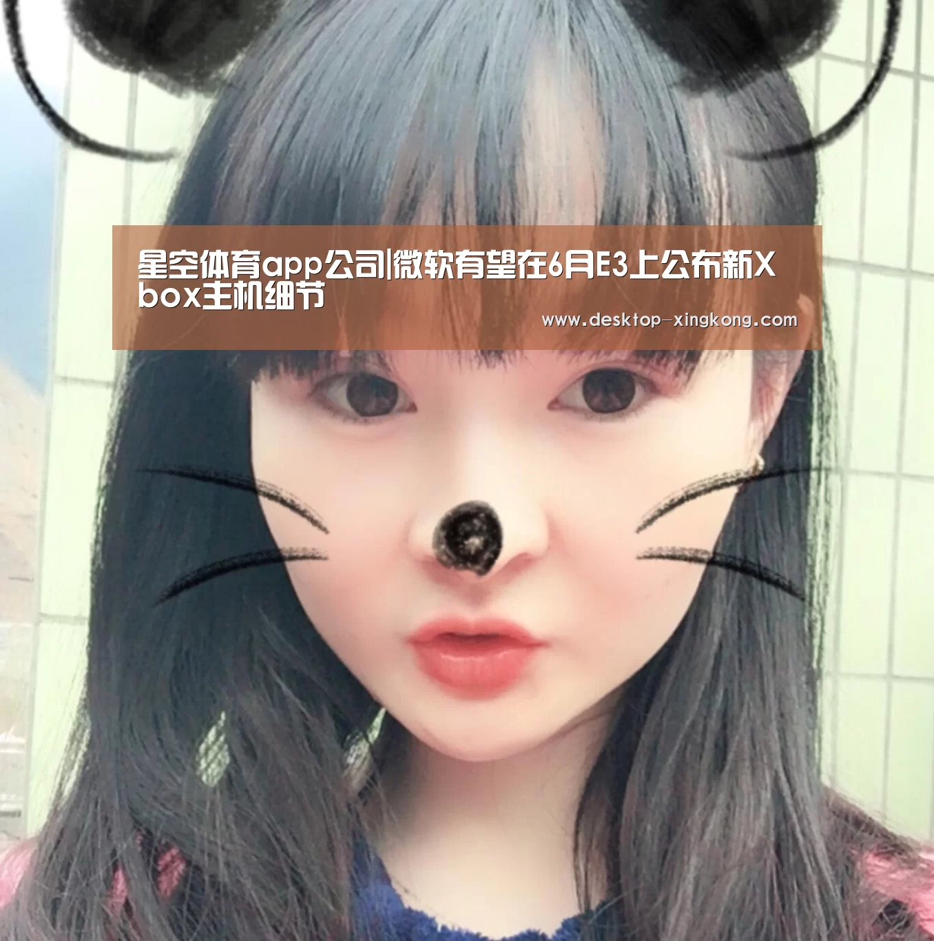 星空体育app部门