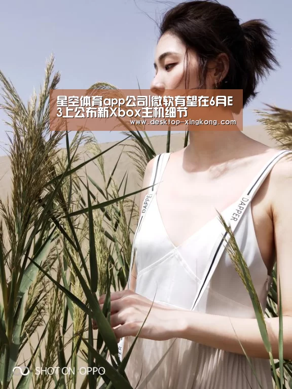星空体育app部门