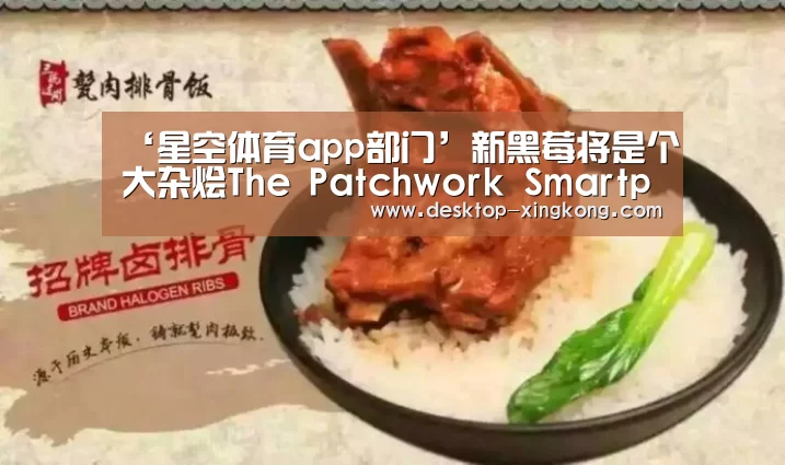 星空体育app