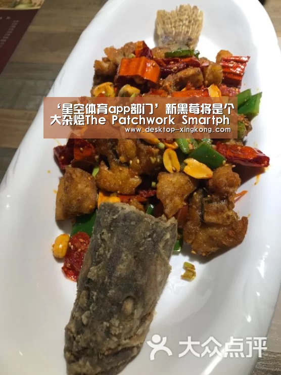 星空体育app部门