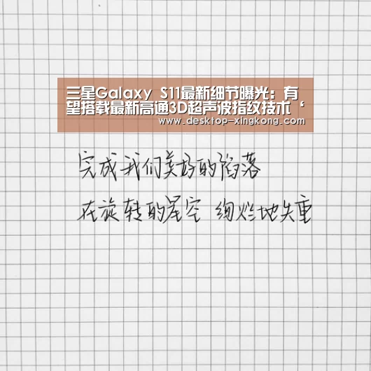 星空体育app团队