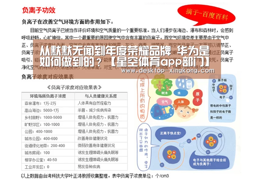 星空体育app公司