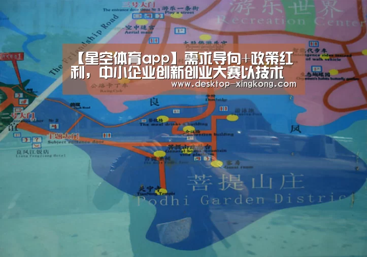 星空体育app部门