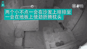 星空体育app